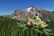 MONTI VINDIOLO e VETRO ad anello da Zorzone-Pian Bracca in VAL VEDRA il 13 giugno 2019 - FOTOGALLERY